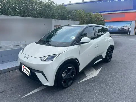 Seagull 2023 Flying Edition