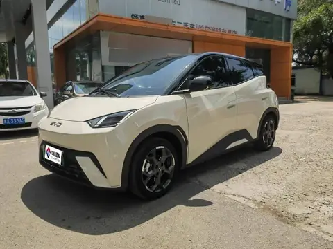 Seagull 2024 Honor Edition 305km Freedom Edition