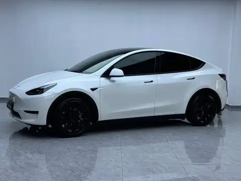 Model Y 2022 rear-wheel drive version