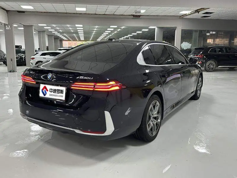 BMW 5 Series 2024 530Li Leading Luxury Package — 6
