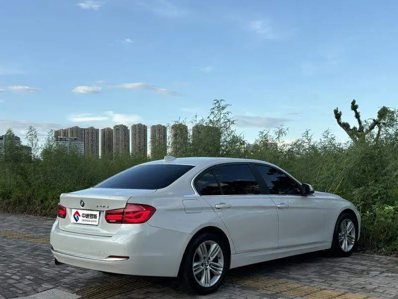 BMW 3 Series 2016 320Li Progressive Edition — 7
