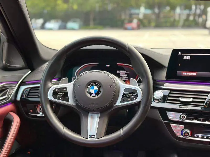 BMW 5 Series 2020 530Li Premium M Sport Package — 7