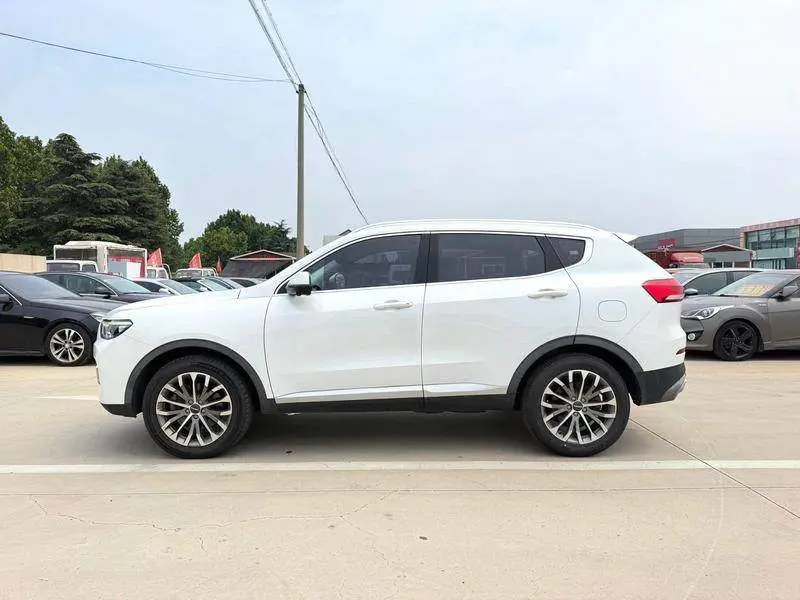 Haval H6 2020 1.5GDIT Automatic Platinum Champion Edition — 4