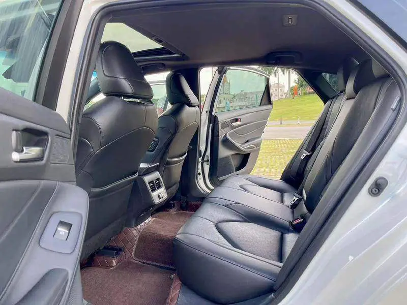 Asian Dragon 2019 2.0L Luxury Edition National VI — 9