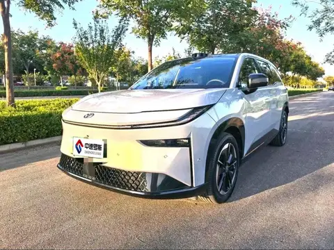 Bozhi 3X 2025 520 Pro Advanced Intelligent Driving Edition
