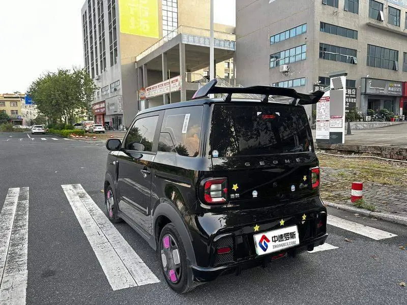 panda 2024 200km Panda Kart — 4