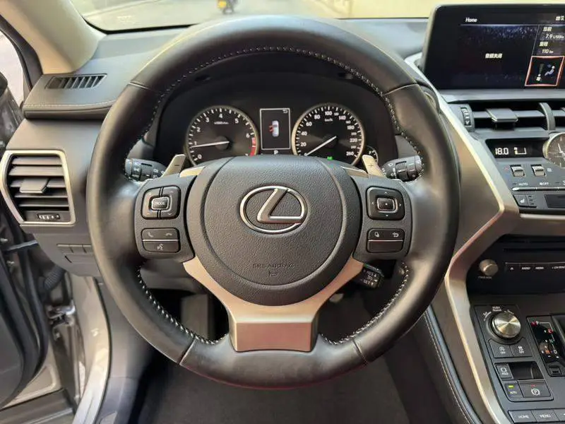 Lexus NX 2020 200 Front-Drive Vanguard Edition National V — 18