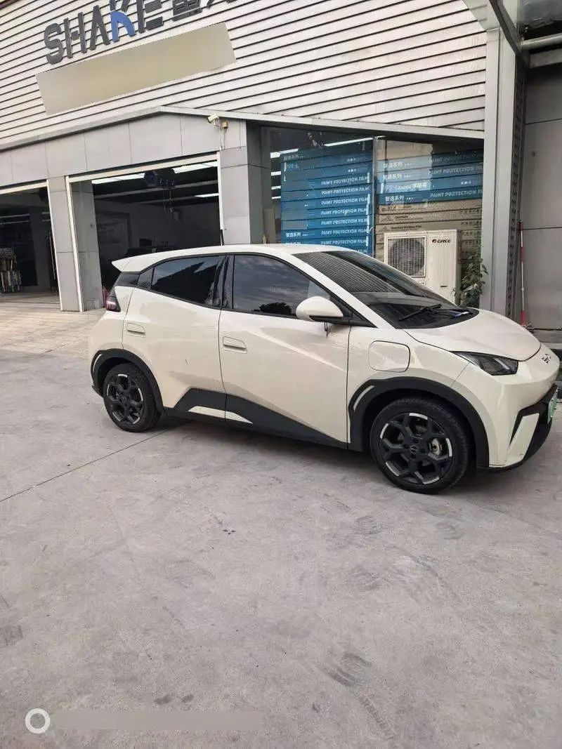 Seagull 2025 Smart Driving Edition 405km Flying Edition — 3