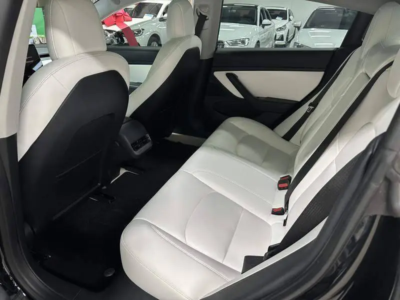 Model 3 2020 Standard Range RWD Upgraded Version — 9