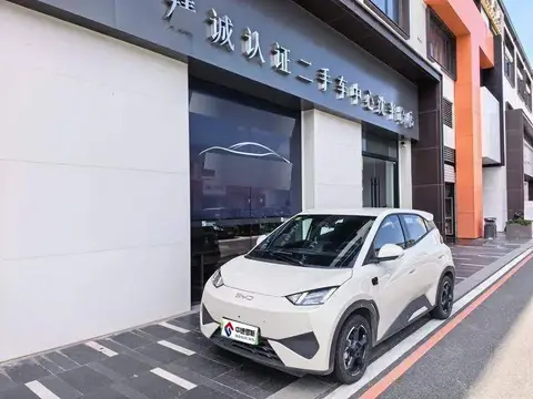 Seagull 2025 Smart Driving Edition 305km Free Edition