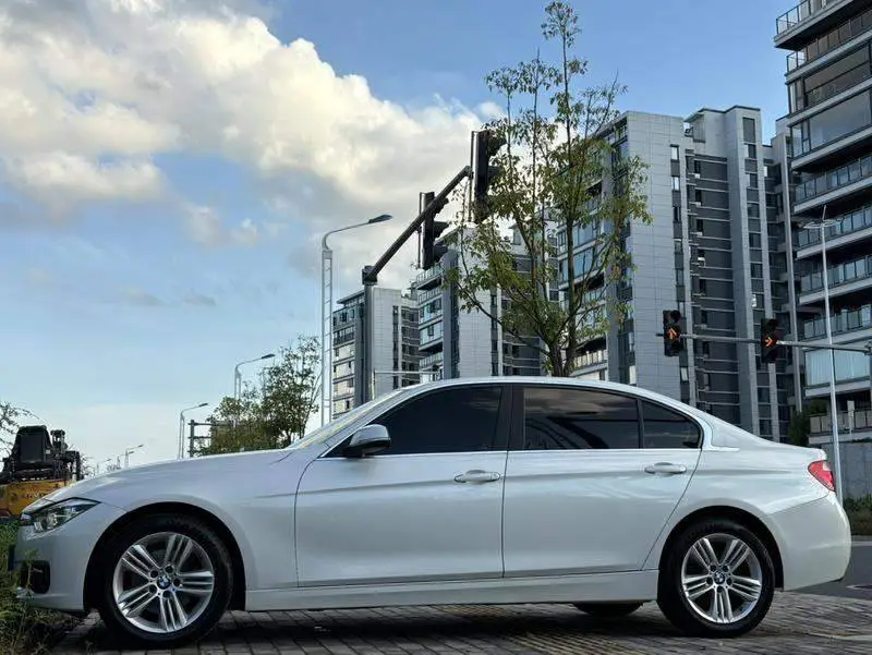 BMW 3 Series 2016 320Li Progressive Edition — 4