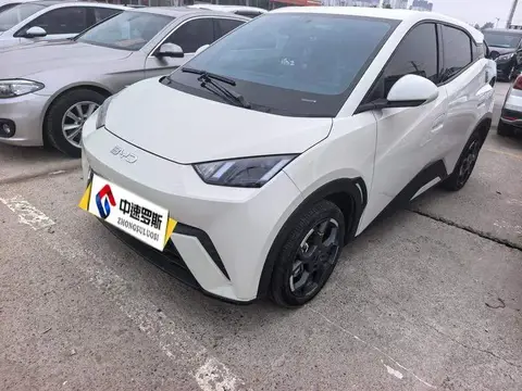 Seagull 2024 Glory Edition 405km Flying Edition