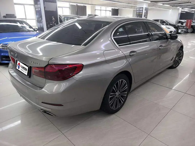BMW 5 Series 2018 530Li Premium Luxury Package — 6