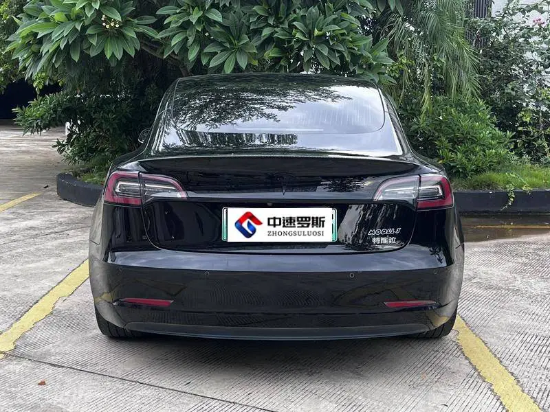 Model 3 2020 Standard Range RWD Upgraded Version — 5