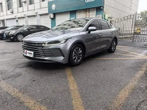 Destroyer 05 2024 Honor Edition DM-i 55KM Luxury