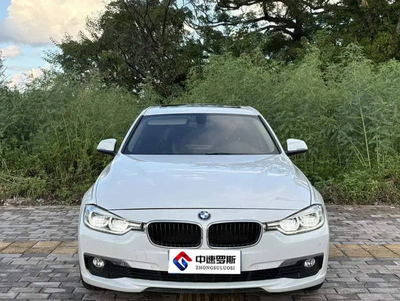 BMW 3 Series 2016 320Li Progressive Edition — 8