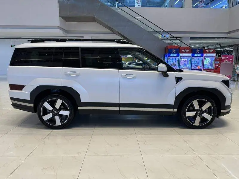 Shengda 2024 2.0T Explorer Pro — 7