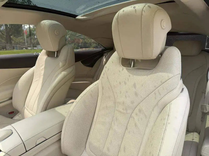 Mercedes-Benz S-Class 2019 S 450 L 4MATIC — 17