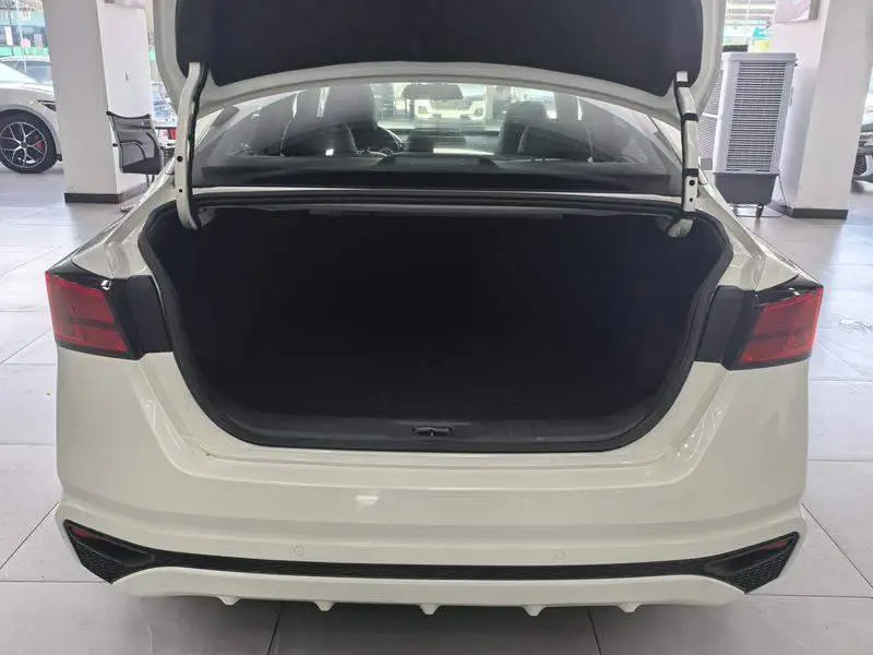 Tianlai 2020 2.0L XL Comfort Edition — 17