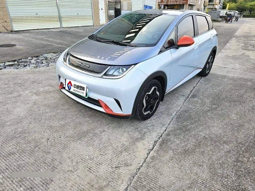 dolphin 2021 405km Freedom Edition — 3