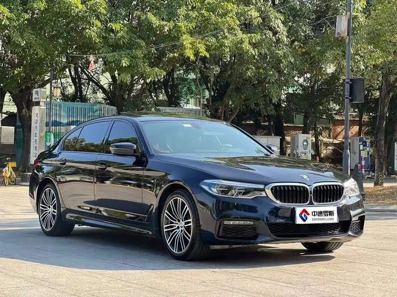BMW 5 Series 2018 530Li Premium M Sport Package — 3