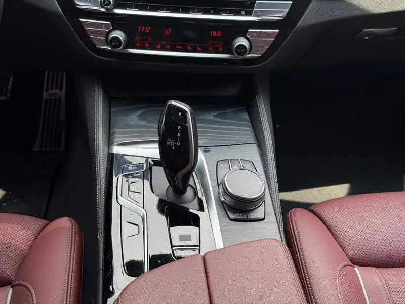 BMW 5 Series 2021 530Li Premium M Sport Package — 15