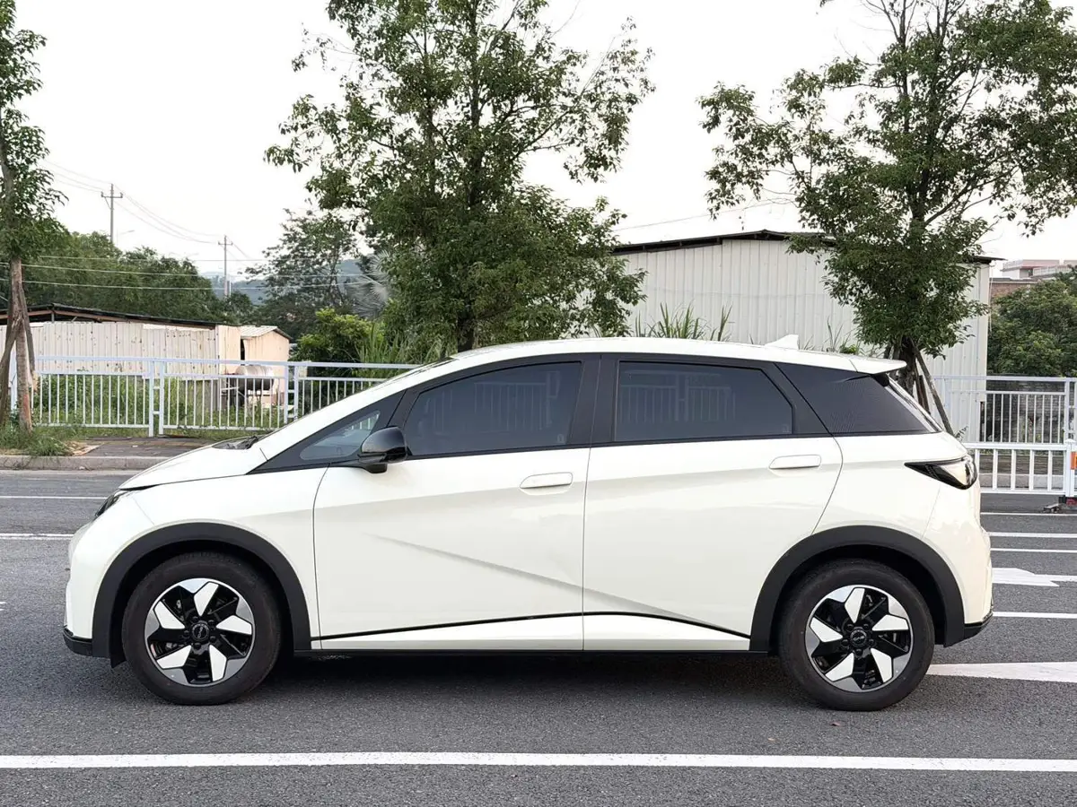 dolphin 2025 420km Freedom Edition — 3