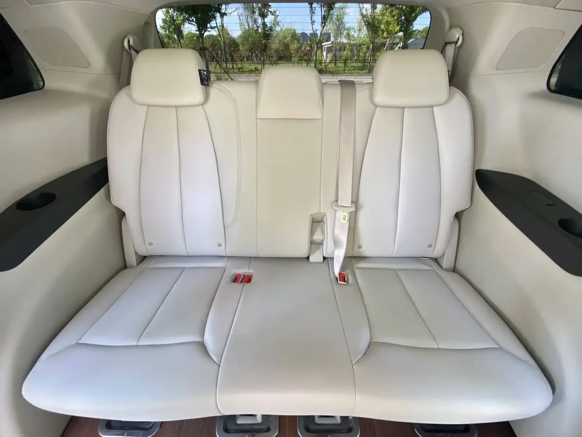 Buick GL8 2021 Land Business Class 652T Luxury — 21
