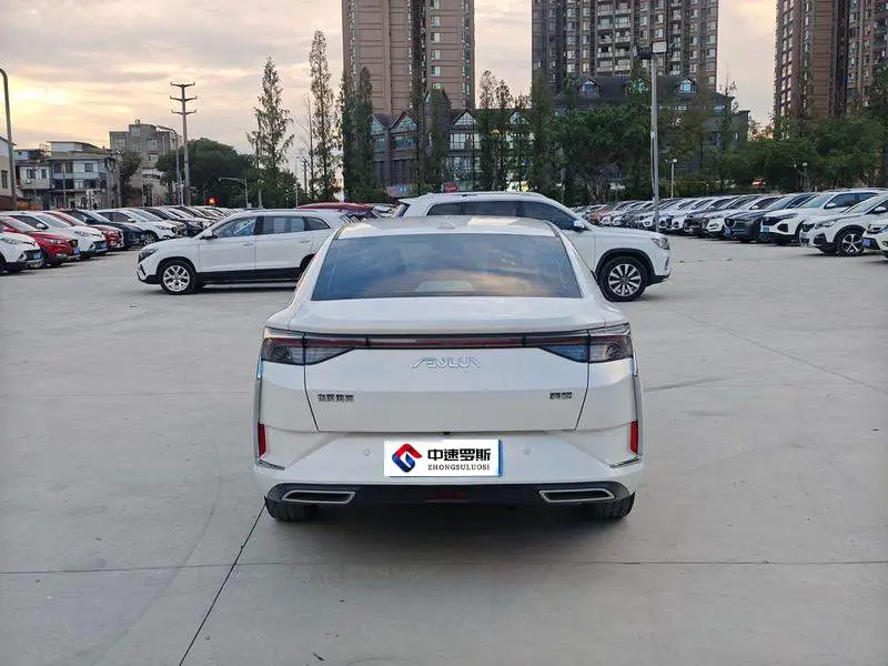 Yixuan 2021 230T Automatic Chasing Edition — 5