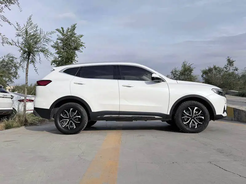 Haval H6 2021 National Trend Edition 1.5T Automatic City Edition — 4