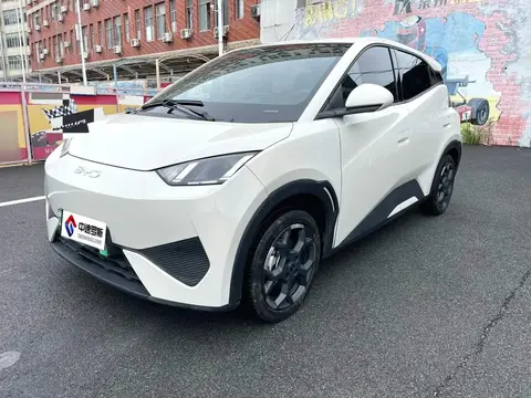 Seagull 2025 Smart Driving Edition 405km/h Comfort Edition