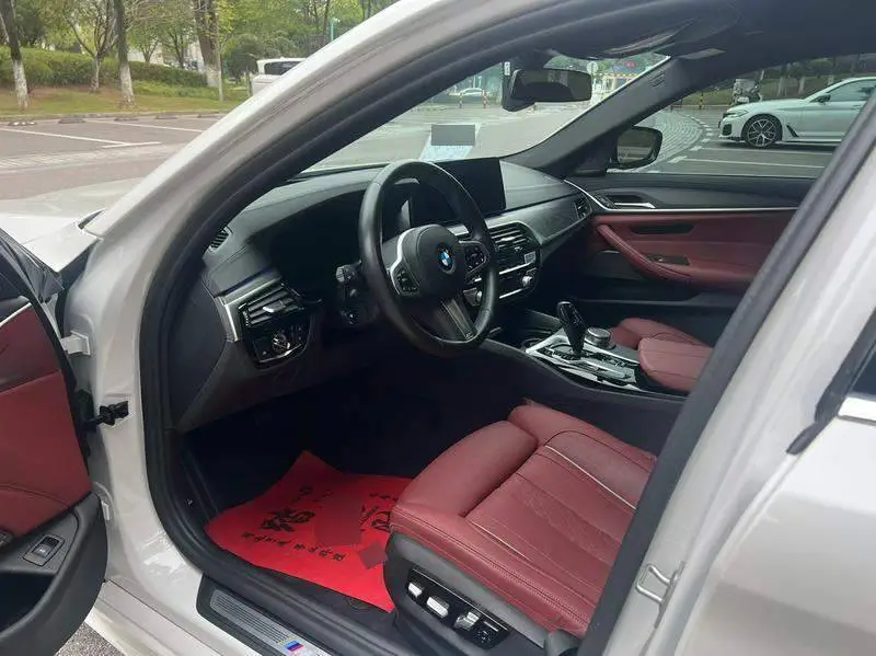 BMW 5 Series 2021 530Li Premium M Sport Package — 8