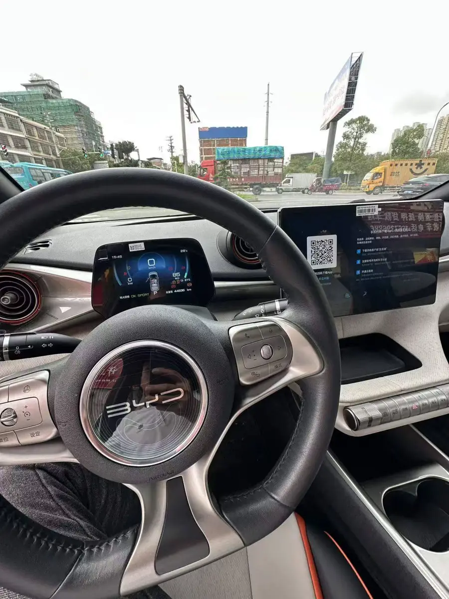 dolphin 2021 405km Freedom Edition — 8