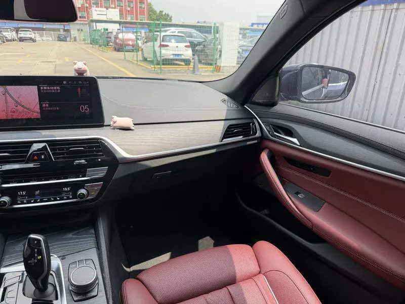 BMW 5 Series 2021 530Li Premium M Sport Package — 9