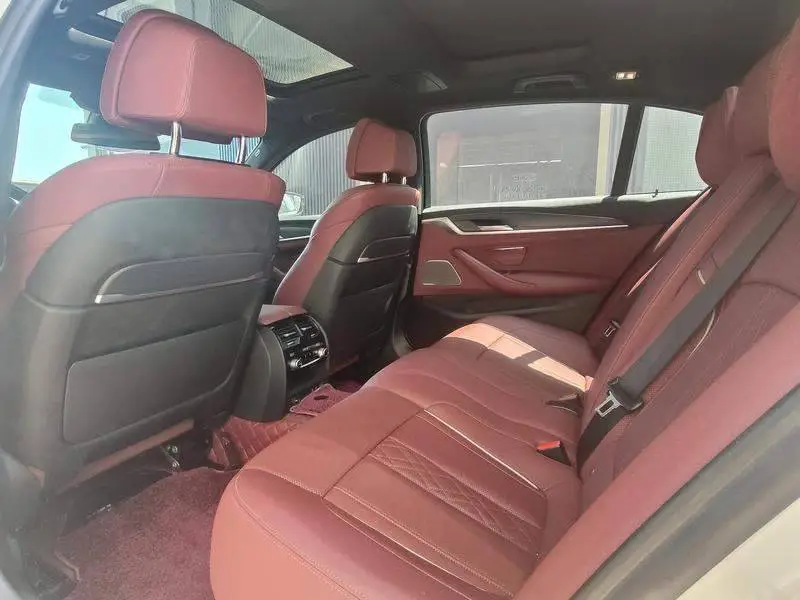 BMW 5 Series 2021 530Li Premium M Sport Package — 15