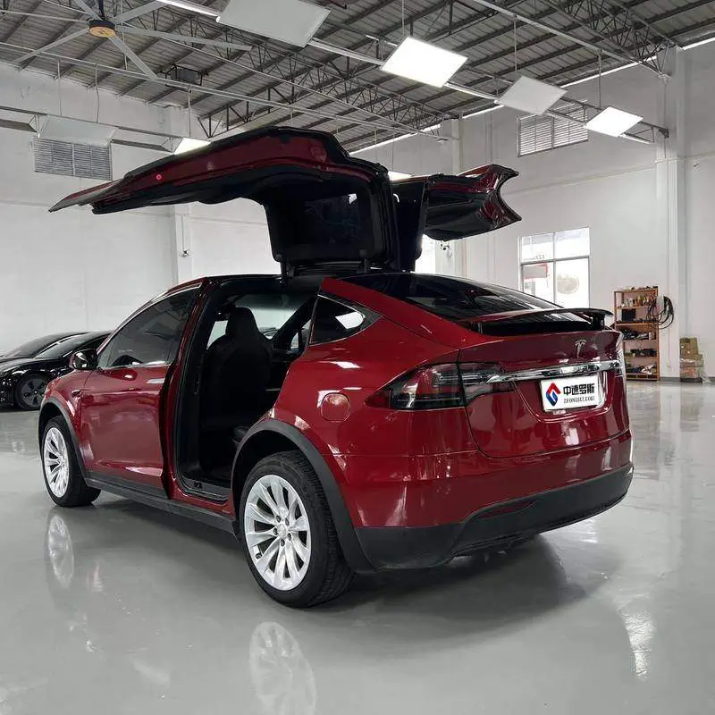 Model X 2019 Standard Range Edition — 5