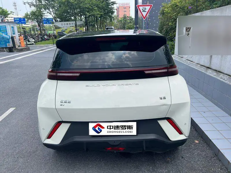 Seagull 2023 Flying Edition — 4