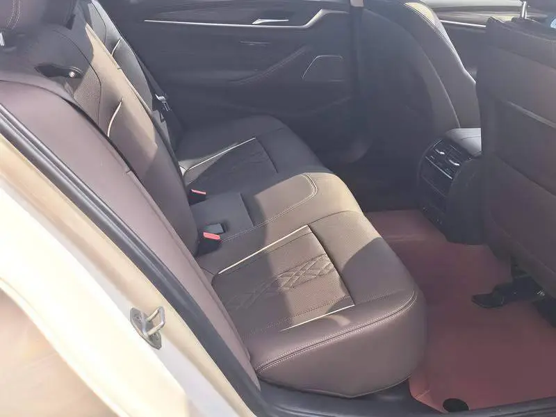 BMW 5 Series 2022 530Li xDrive Luxury Package — 13