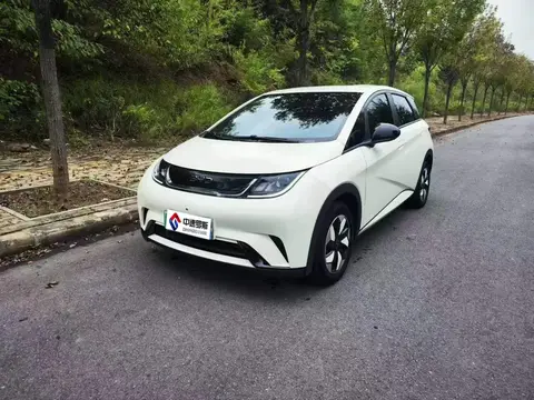 dolphin 2025 420km Freedom Edition