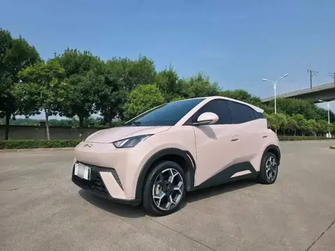 Seagull 2024 Glory Edition 305km Vitality Edition
