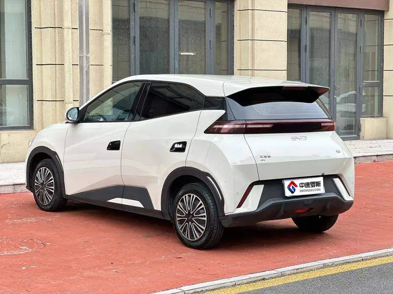 Seagull 2024 Glory Edition 305km Vitality Edition — 4