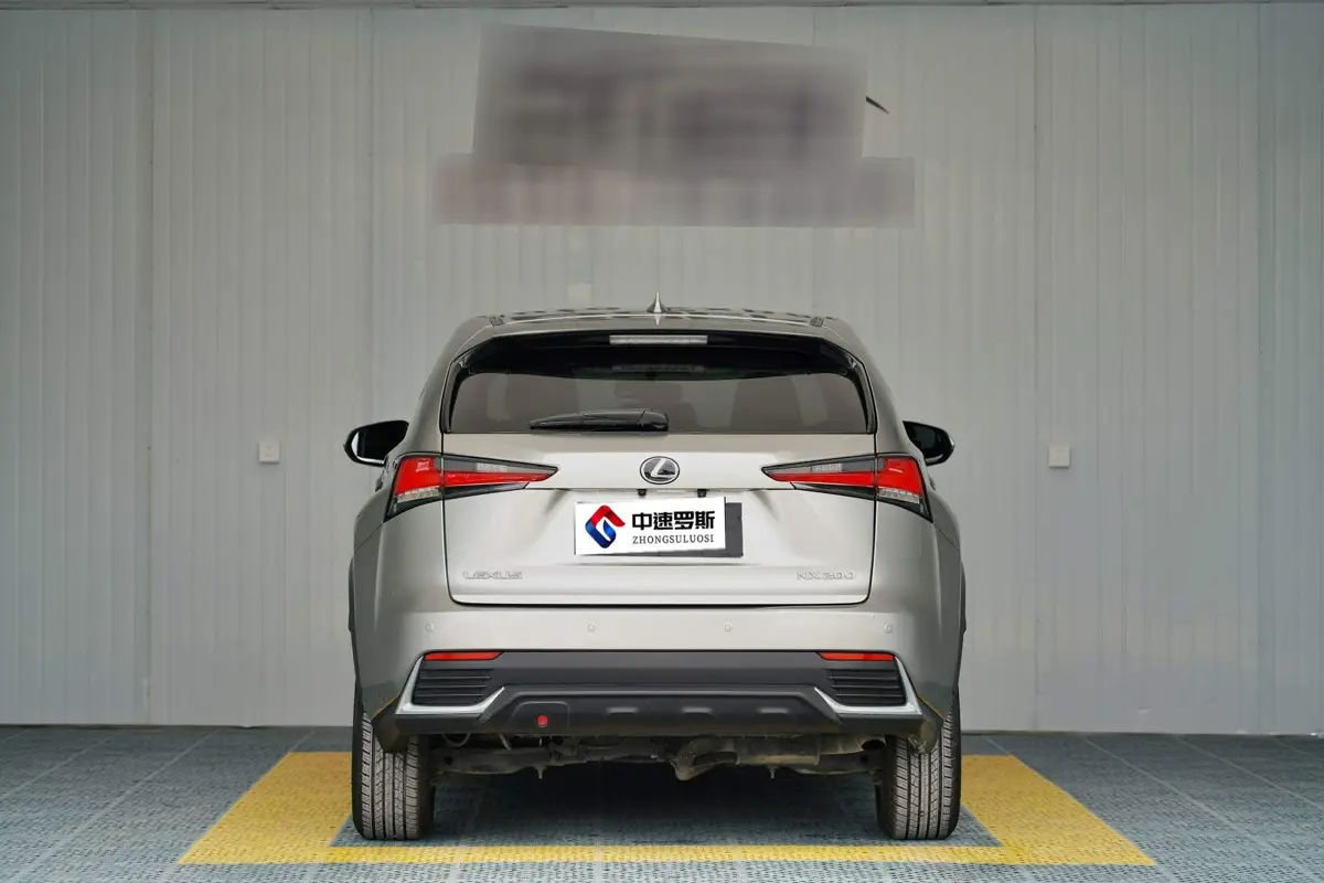Lexus NX 2018 200 Front-Drive Vanguard Edition National VI — 5