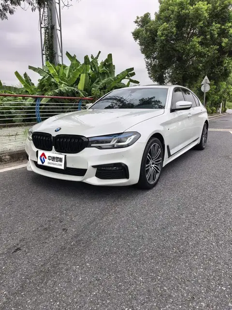BMW 5 Series 2019 530Li Leading M Sport Package
