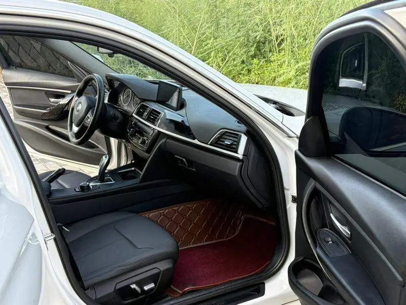 BMW 3 Series 2016 320Li Progressive Edition — 11