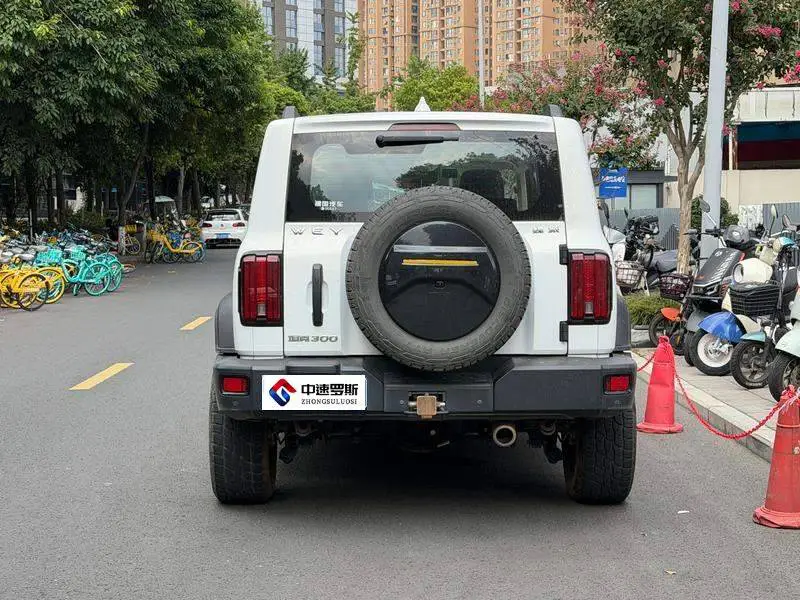 Tank 300 2021 Off-Road Edition 2.0T Conqueror — 5