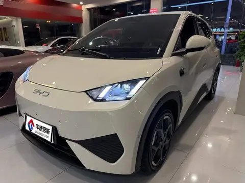Seagull 2025 Smart Driving Edition 305km Free Edition