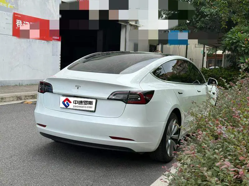 Model 3 2020 Standard Range RWD Upgraded Version — 6