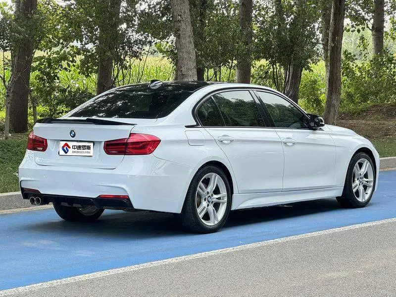 BMW 3 Series 2019 320Li M Sport Package — 6