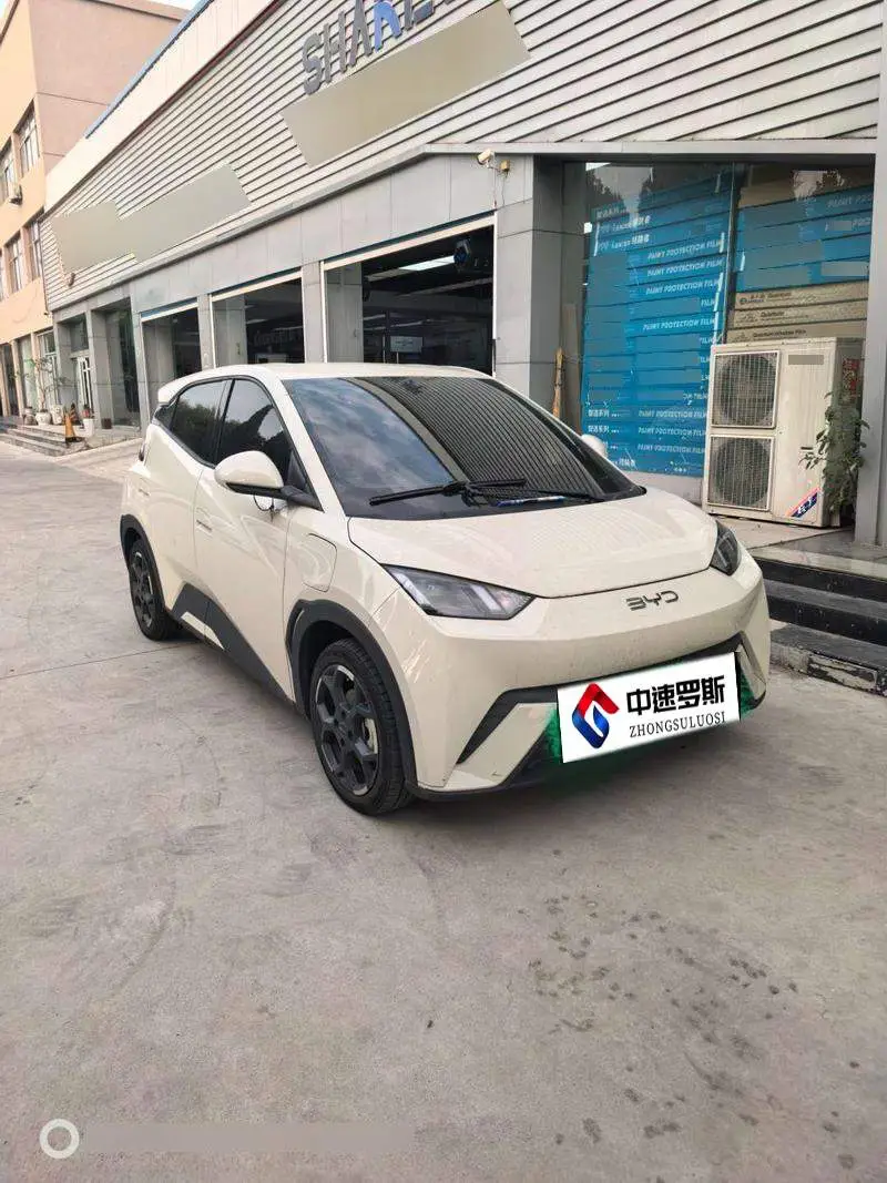 Seagull 2025 Smart Driving Edition 405km Flying Edition — 6