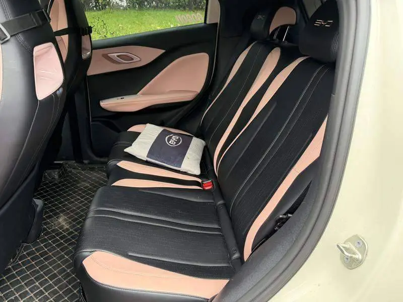 Seagull 2024 Glory Edition 305km Vitality Edition — 13